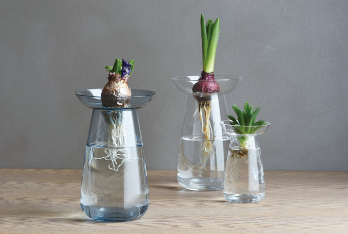 https://www.twinflamecollections.com.au/cdn/shop/files/Kinto_AquaCultureVase_06_1_6f14f328-f66a-4361-93f3-ab651052e132_370x230@2x.jpg?v=1623562726